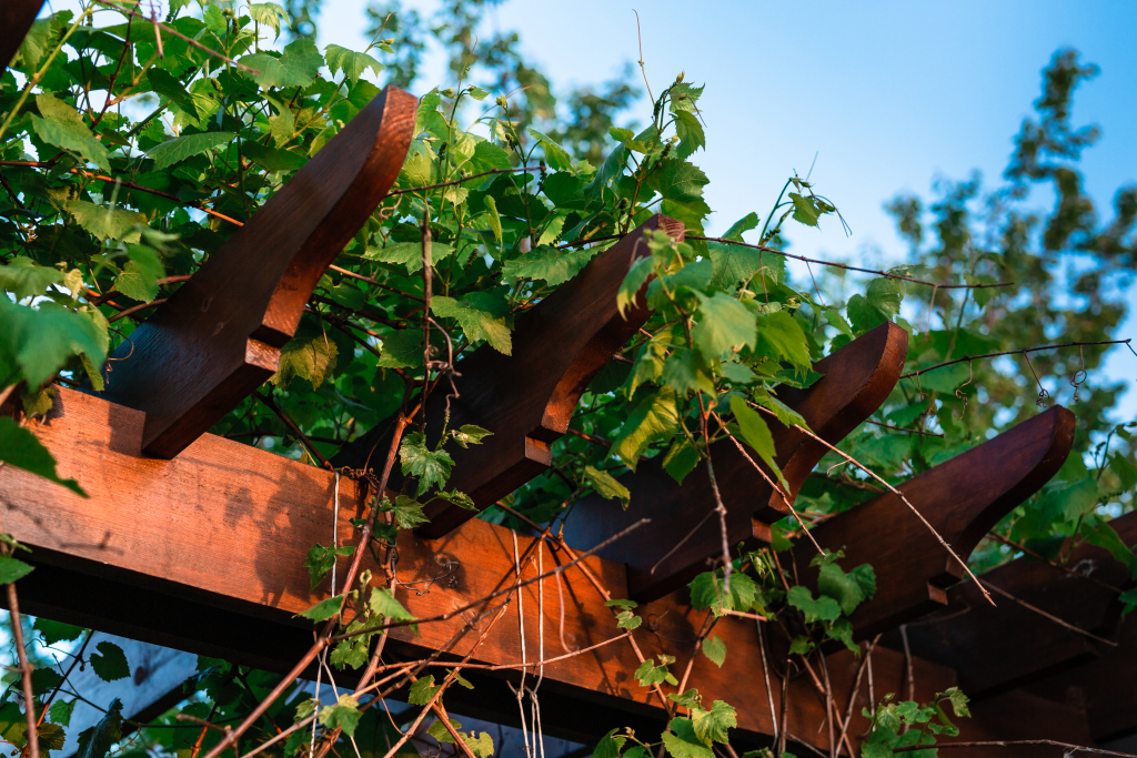 Pergola en bois pour une harmonie avec les plantes dans le jardin